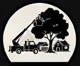 Bucket truck lifting an arborist to reach high branches