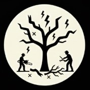 Pruning to repair a storm-damaged tree