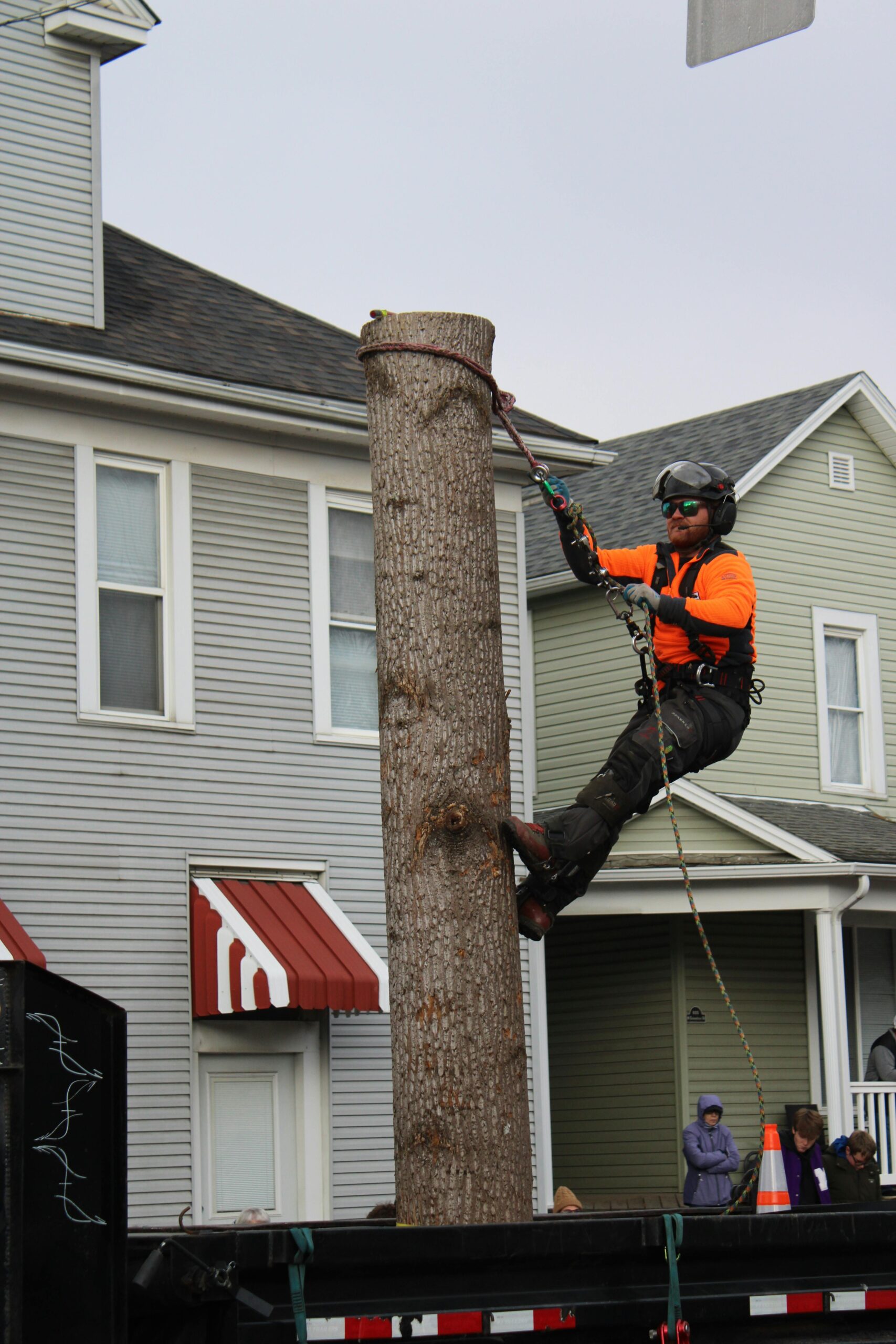 Property left clean and open after a full tree removal