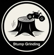 Stump being ground down with professional equipment