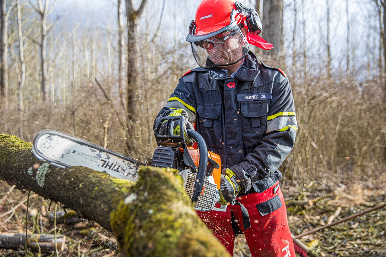 Emergency crew clearing a storm-damaged tree that has fallen across a property