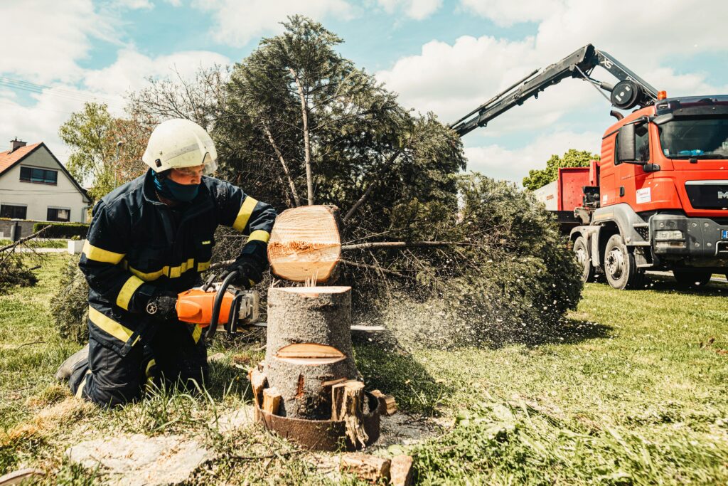 Crew safely dismantling a large tree section by section in a Raleigh backyard
