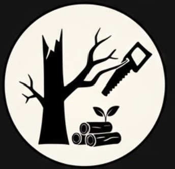 Removal of dead wood and hanging limbs from a tree