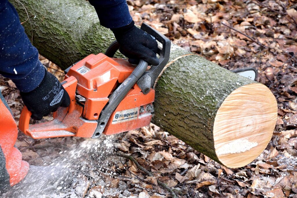 Sectioned logs stacked neatly after a removal in Rolesville